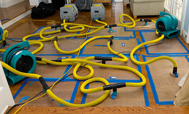 Professional Crawl Space Water Removal technician working in Genoa, AR